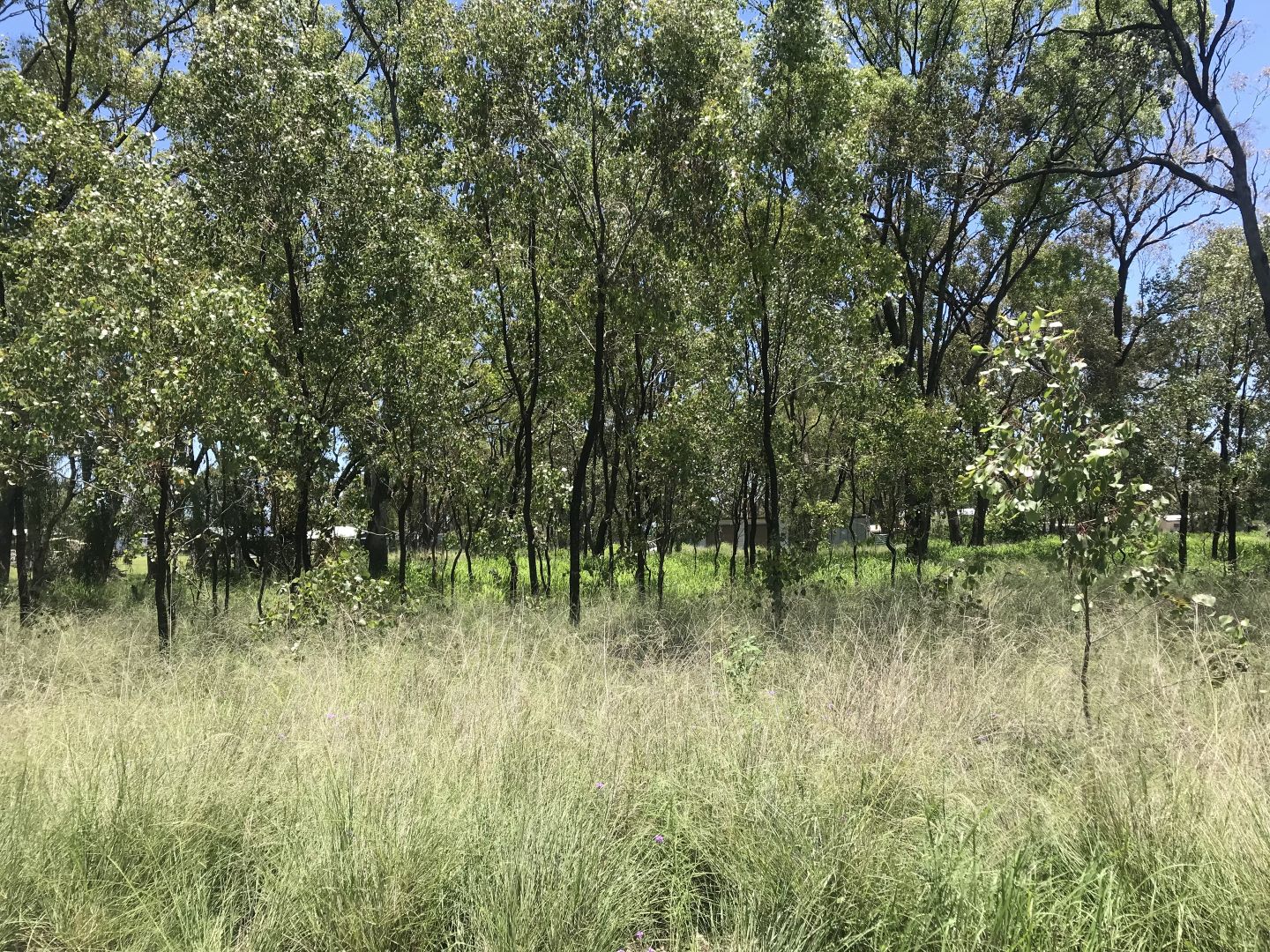 Lot 124 & 125 Maryvale Road, Hendon QLD 4362, Image 1