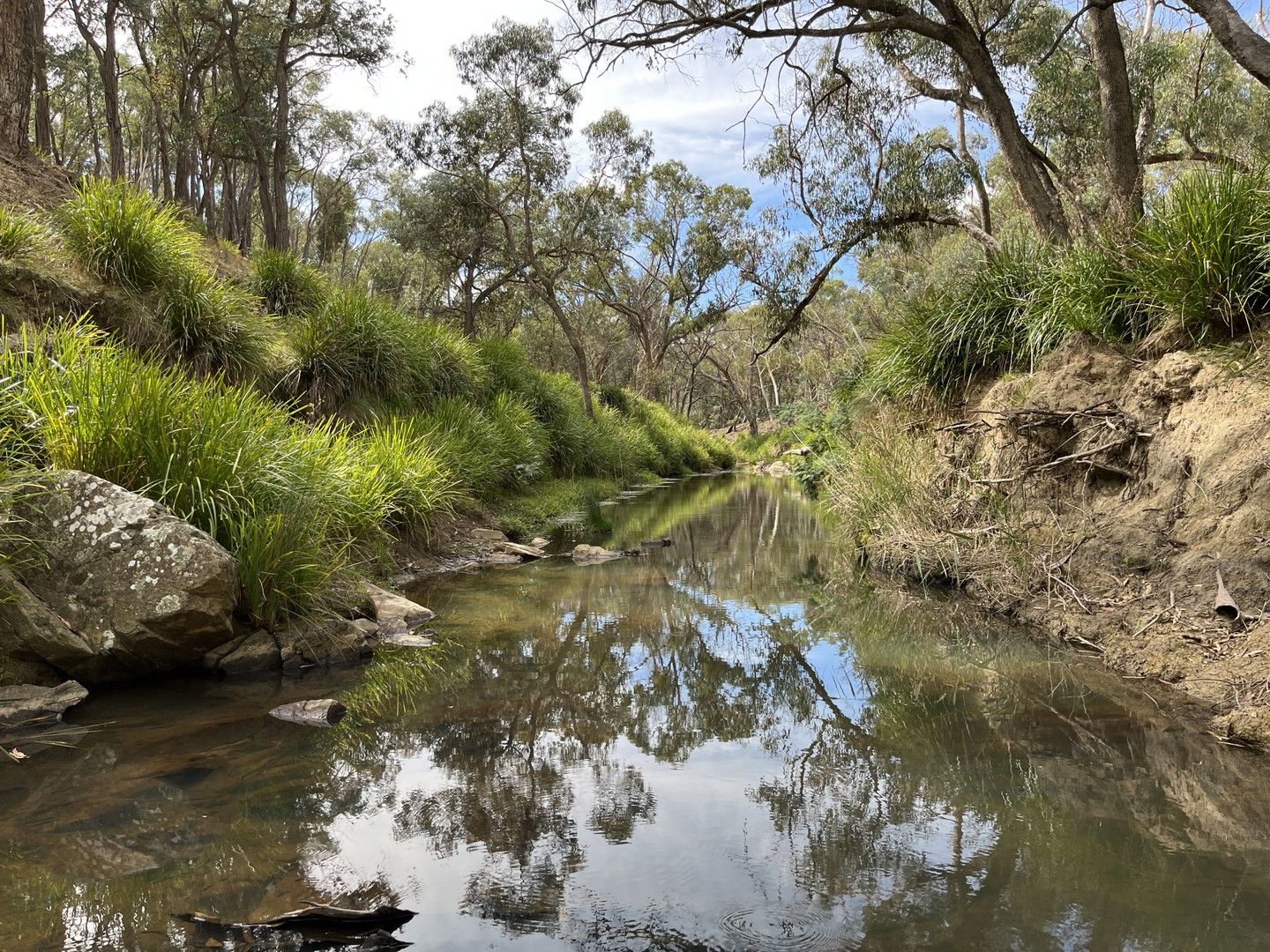 Lot 1 Collector Road, Gunning NSW 2581, Image 0