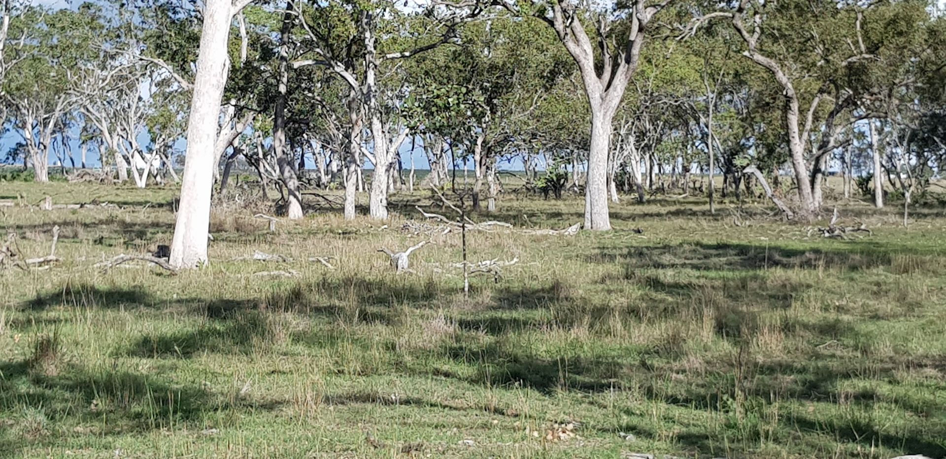 Lot 4 SP 268228 Hermitage Emu Vale Road, Junabee QLD 4370 Vacant Land
