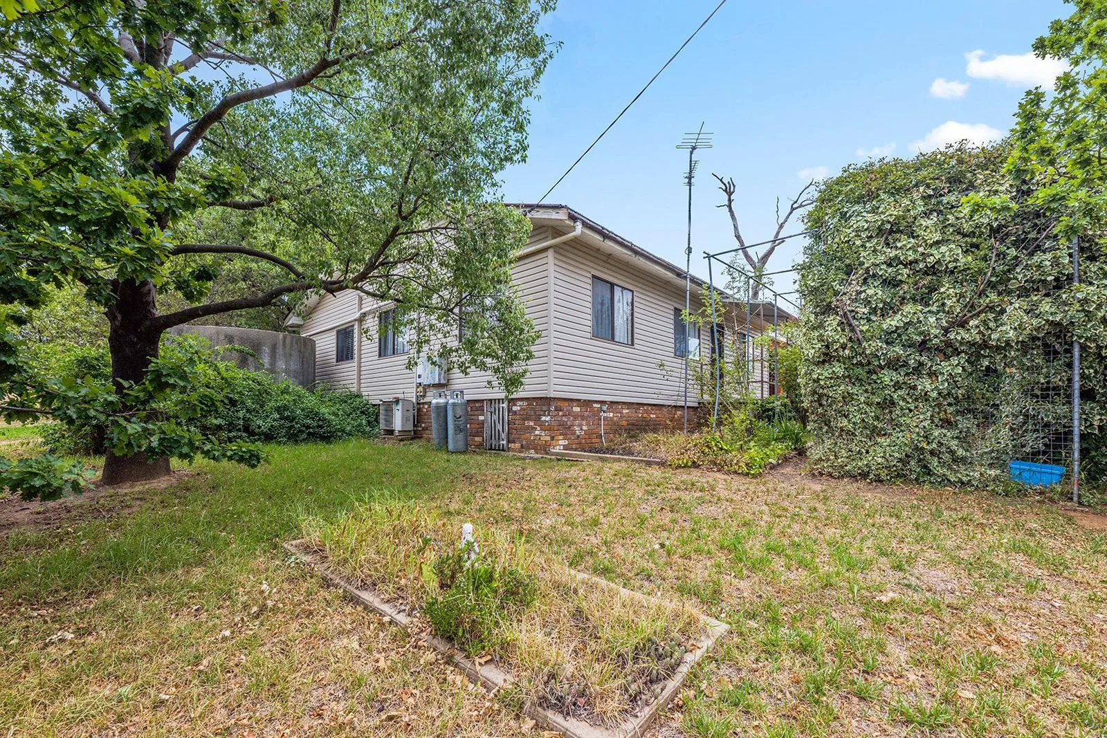 Additional image 8 of 427 Milvale Road, Young NSW 2594