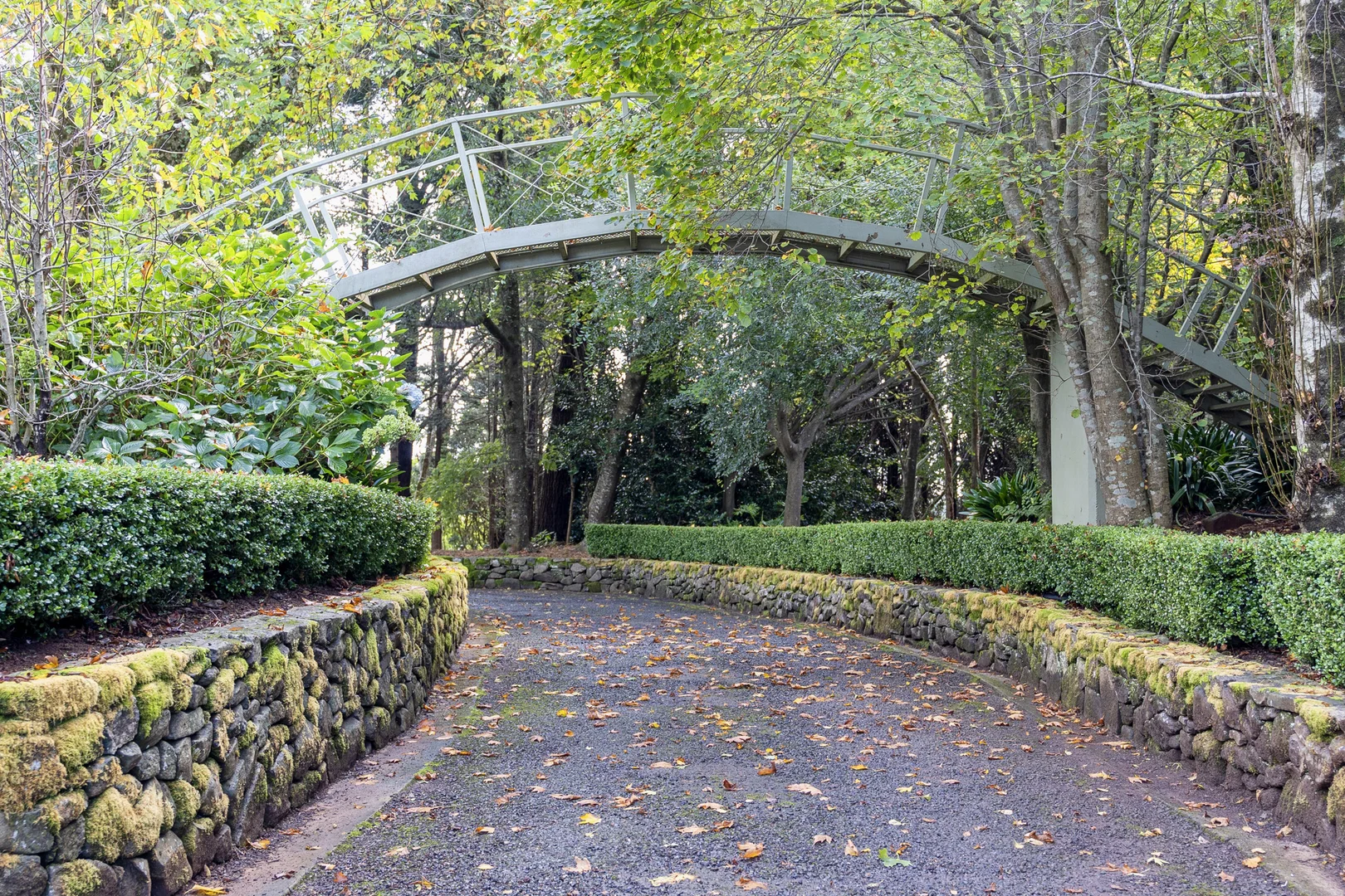 Additional image 26 of 101 Pearsons Lane, Robertson NSW 2577