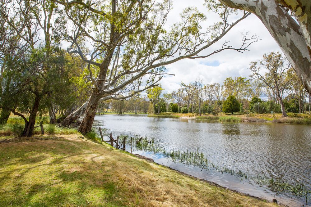 29 Walcott Road, Balmoral VIC 3407, Image 1