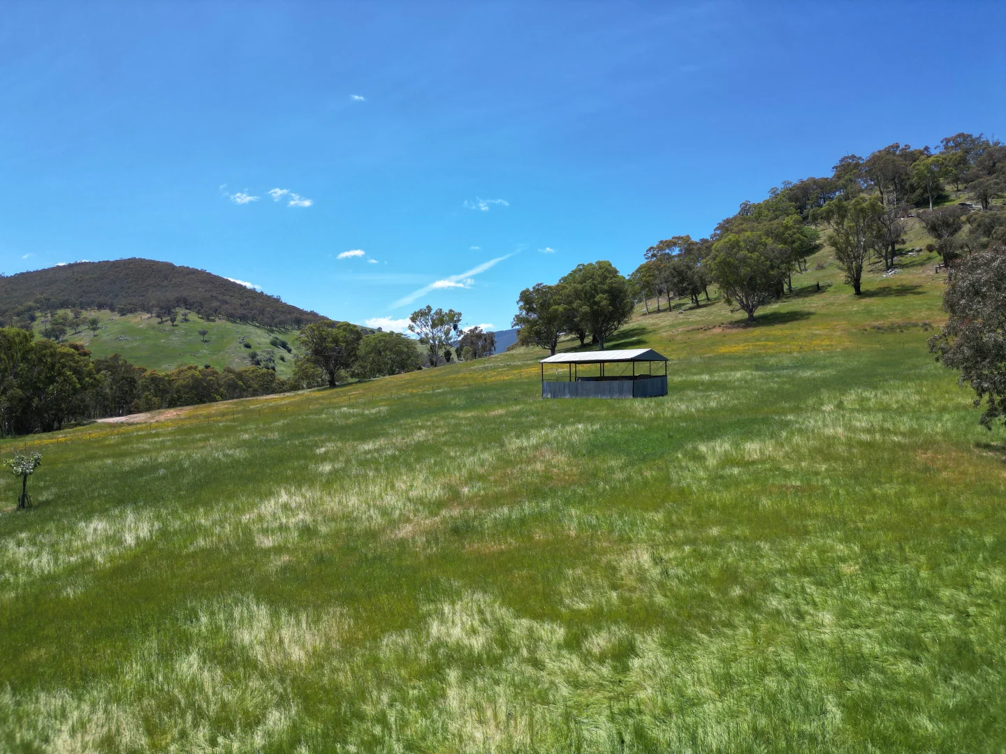 Image 10