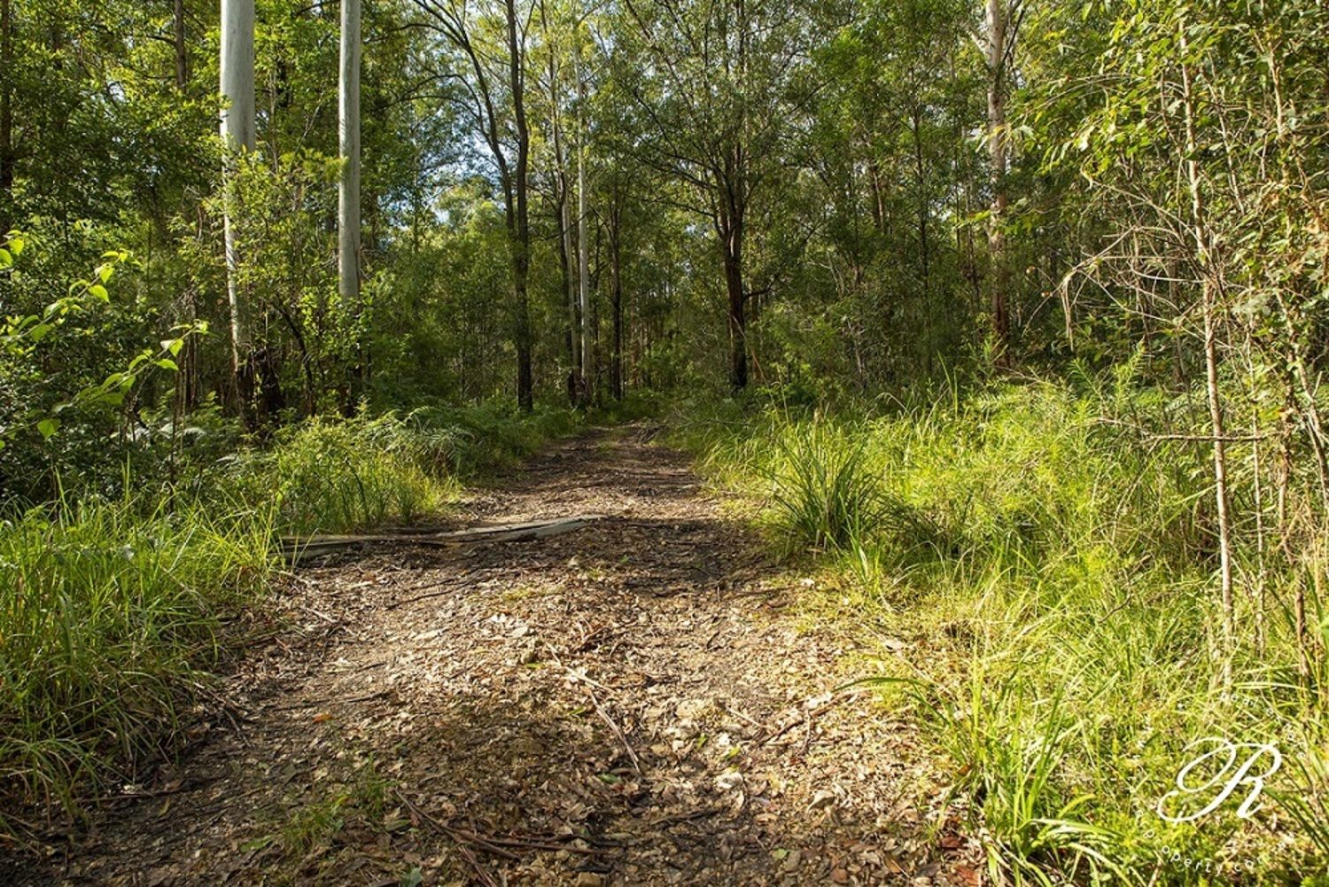 232 Locketts Crossing Road, Coolongolook NSW 2423, Image 1