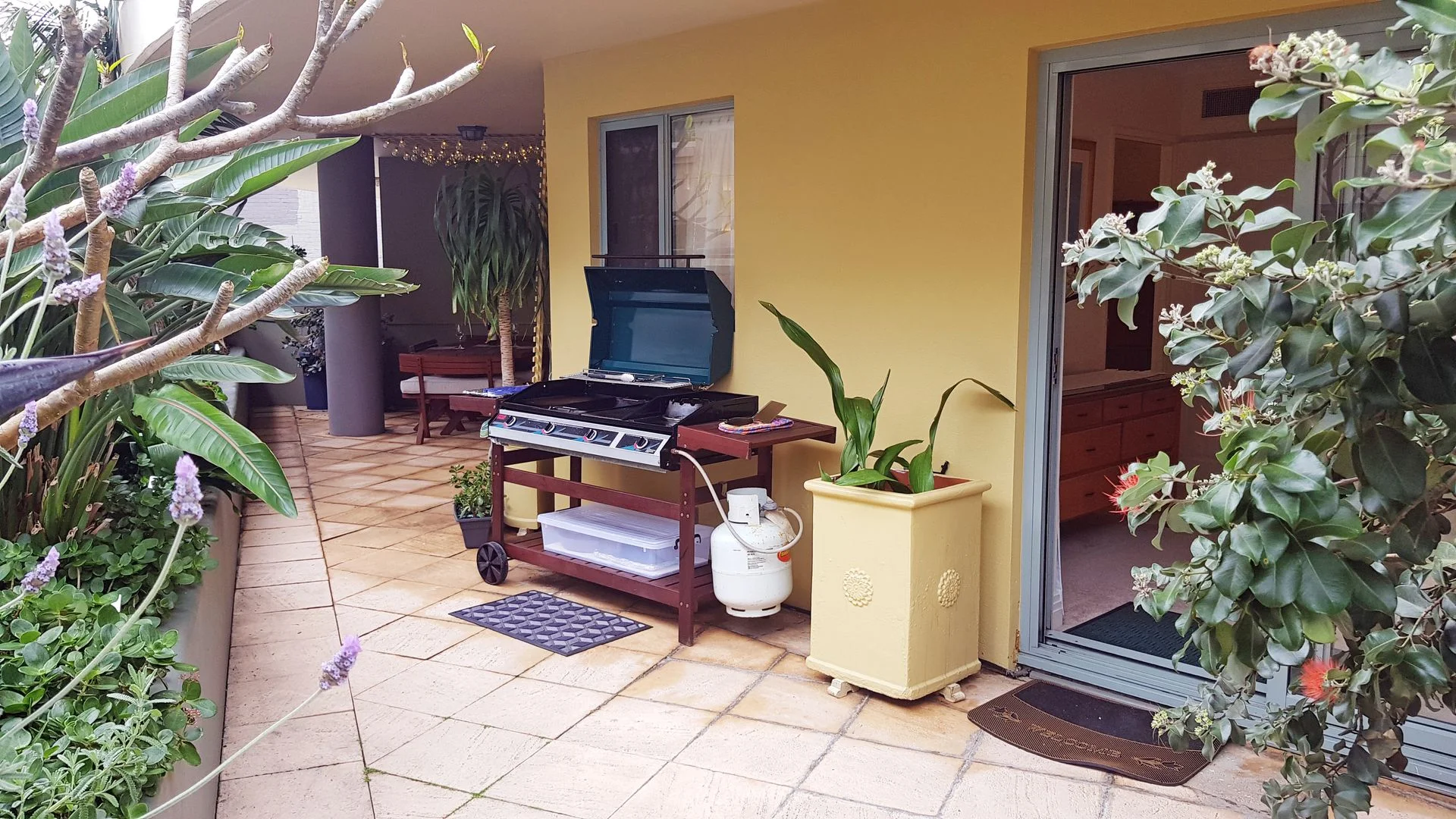 Additional image 15 of 9 - 15 Central Ave, Manly NSW 2095