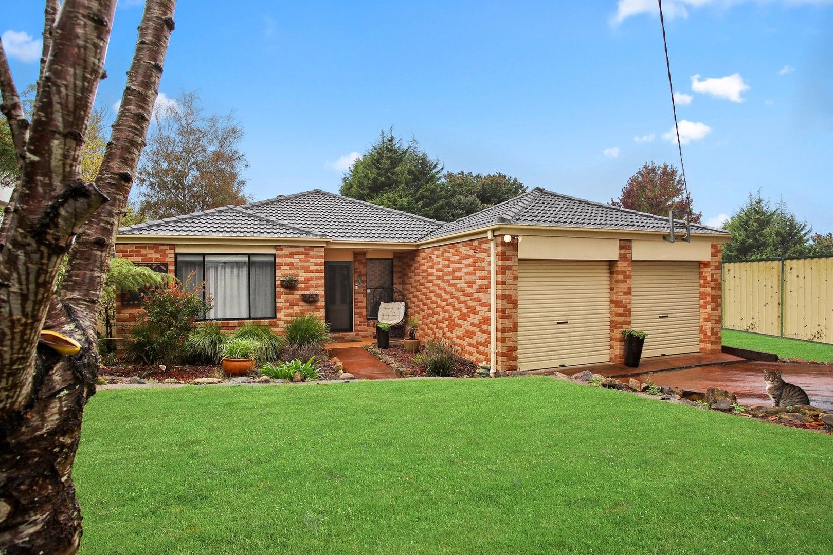 1 Banksia Street, Colo Vale NSW 2575, Image 0