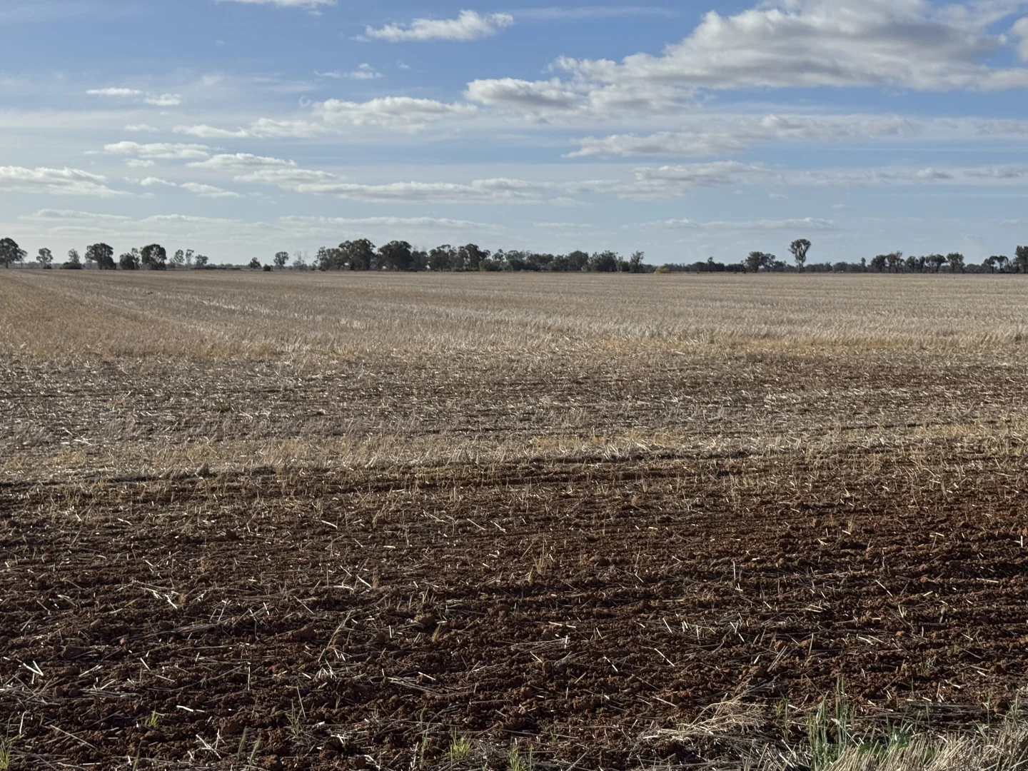 Additional image 11 of Christies Road, Katunga VIC 3640