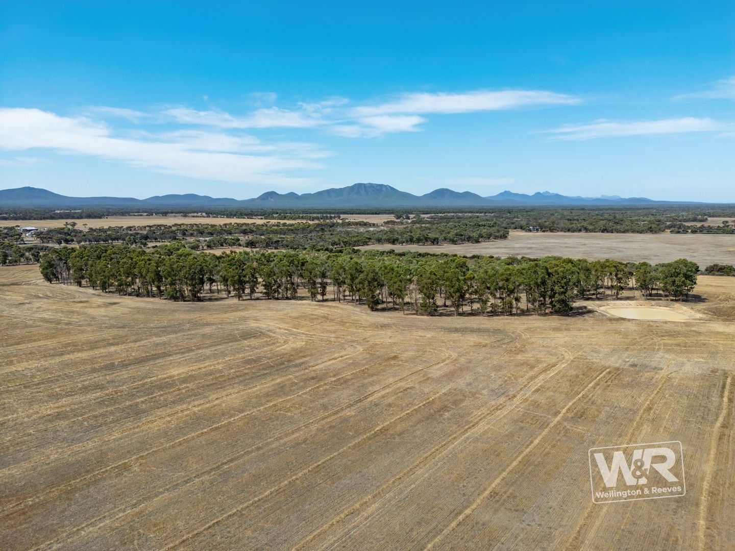 Lot 4828 Filmer Road, Kendenup WA 6323 Specialist Farm for Sale