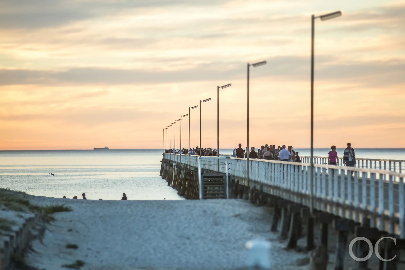 Additional image 18 of 242 Robin Road, Semaphore SA 5019