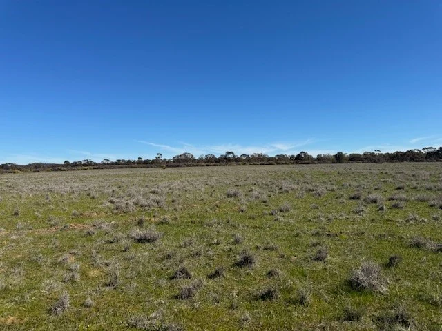 Image 12