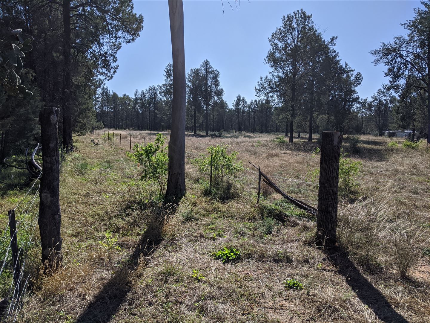 Vacant land in 168 NAMOI ST, BARADINE NSW, 2396