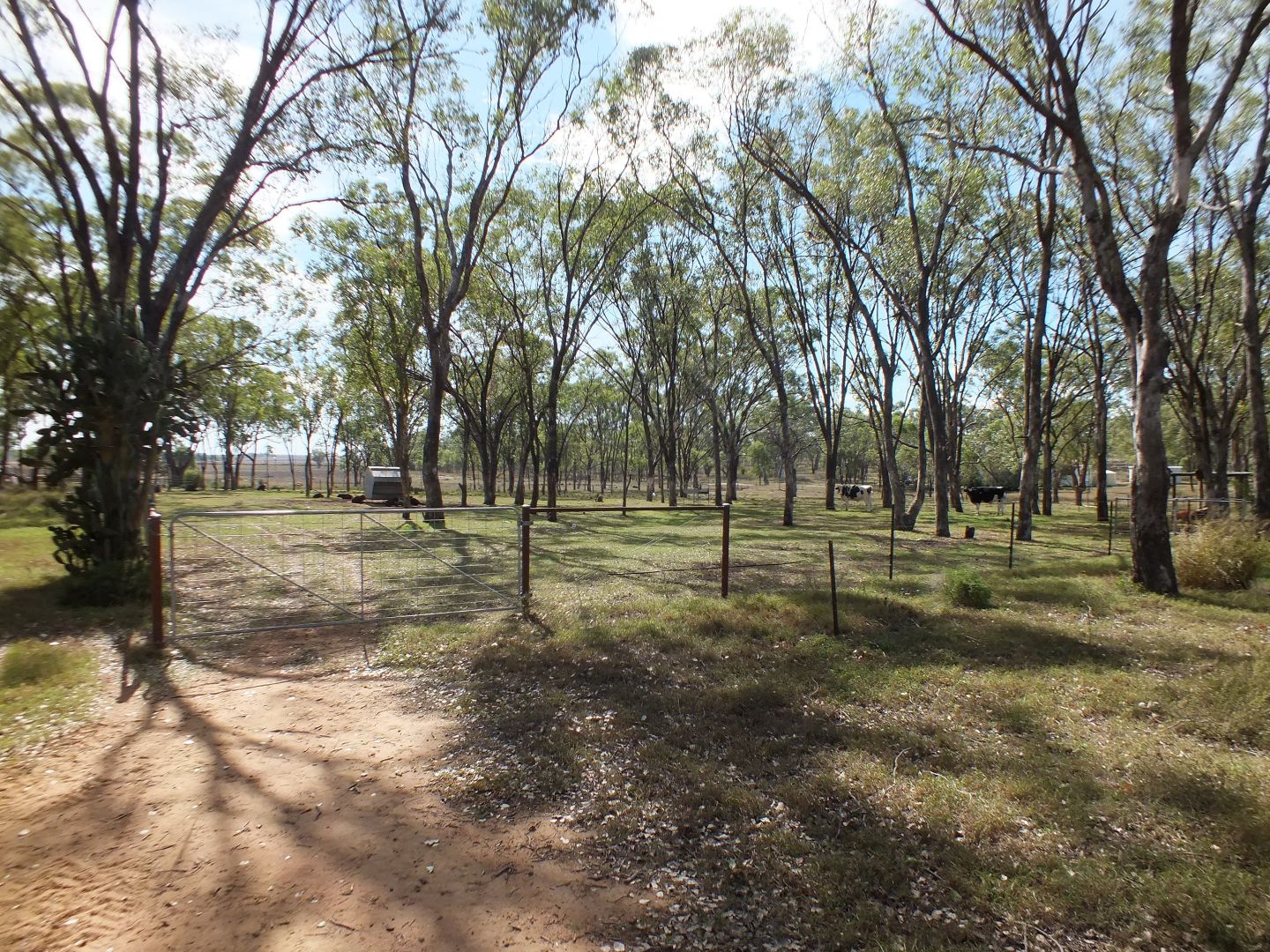 20 Middle Street via Maryvale St, Hendon QLD 4362 Vacant Land for