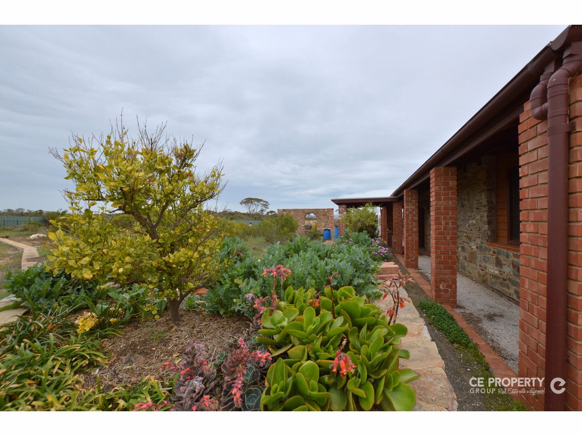 113 Frost Road, Sandleton SA 5356, Image 1