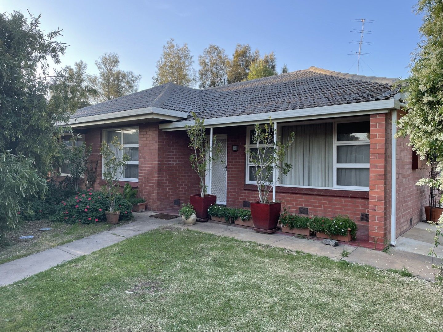 24 Third Street, Snowtown SA 5520, Image 0