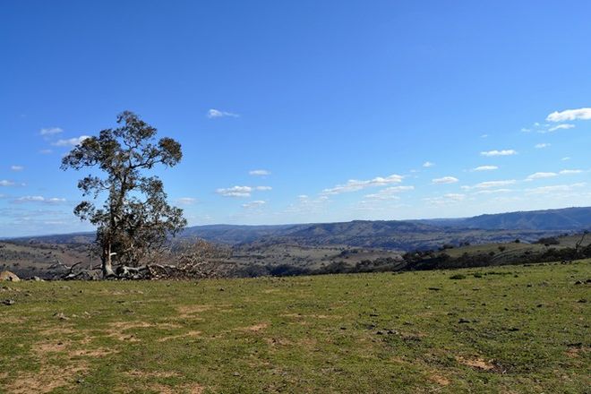 Picture of 40 Triamble Road, TRIAMBLE NSW 2850