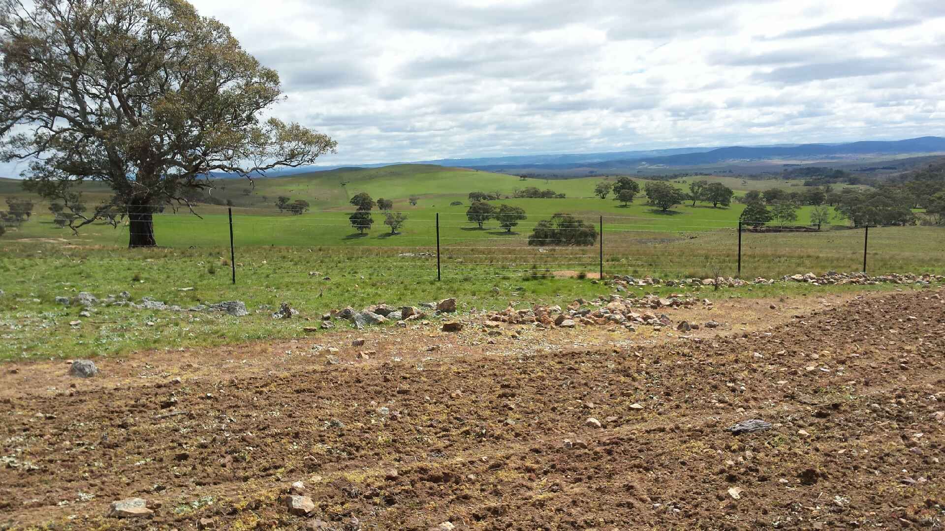 Cooma NSW 2630, Image 0