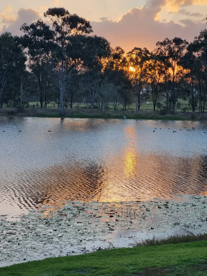 Additional image 34 of 64 Ghost Gum Road, Sharon QLD 4670