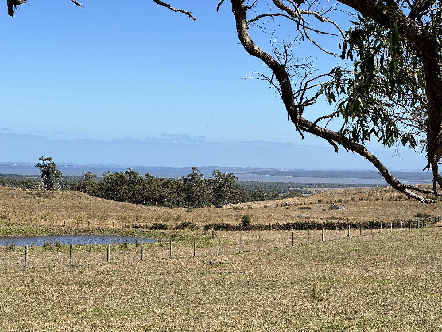 160 Raftis Road, Nyora VIC 3987 House for Sale Domain