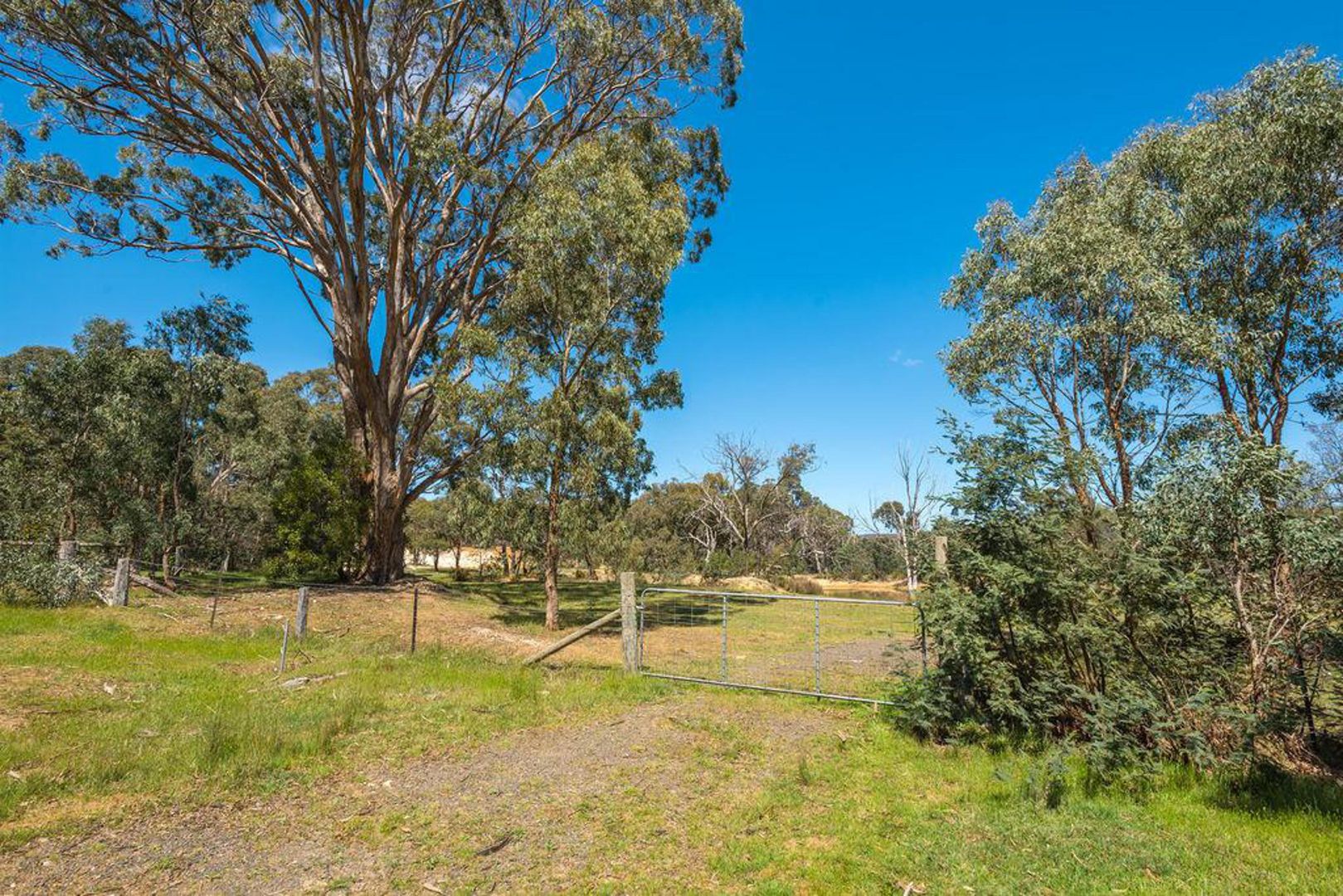 14A Conlans Road, Taradale VIC 3447, Image 2