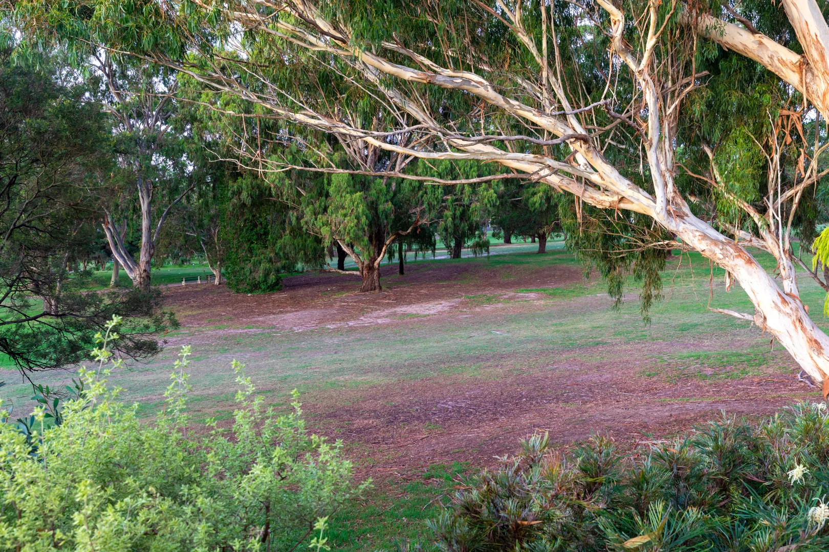 Additional image 18 of 9 Acacia Place, Burwood VIC 3125