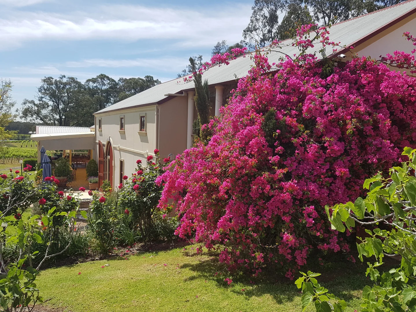 Image 10