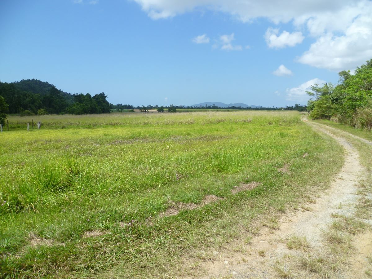 Lot 1 Bruce Highway, Cowley QLD 4871, Image 1