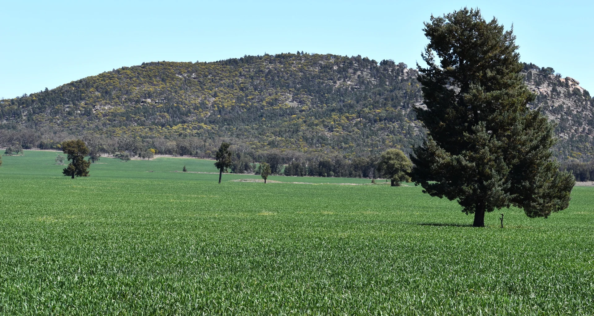 Image 11