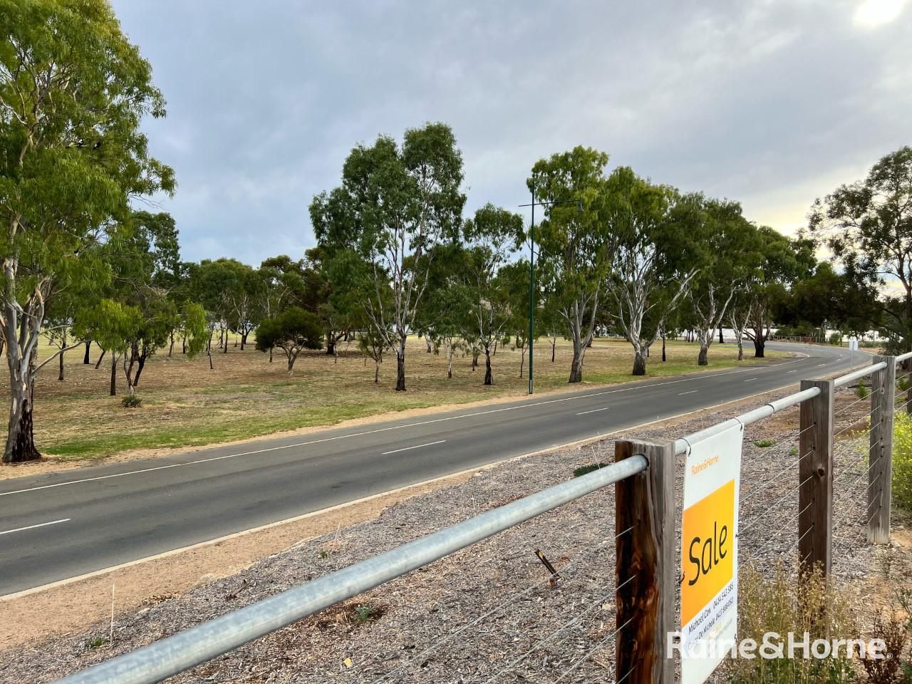 6 Wetlands Close, Murray Bridge SA 5253, Image 2