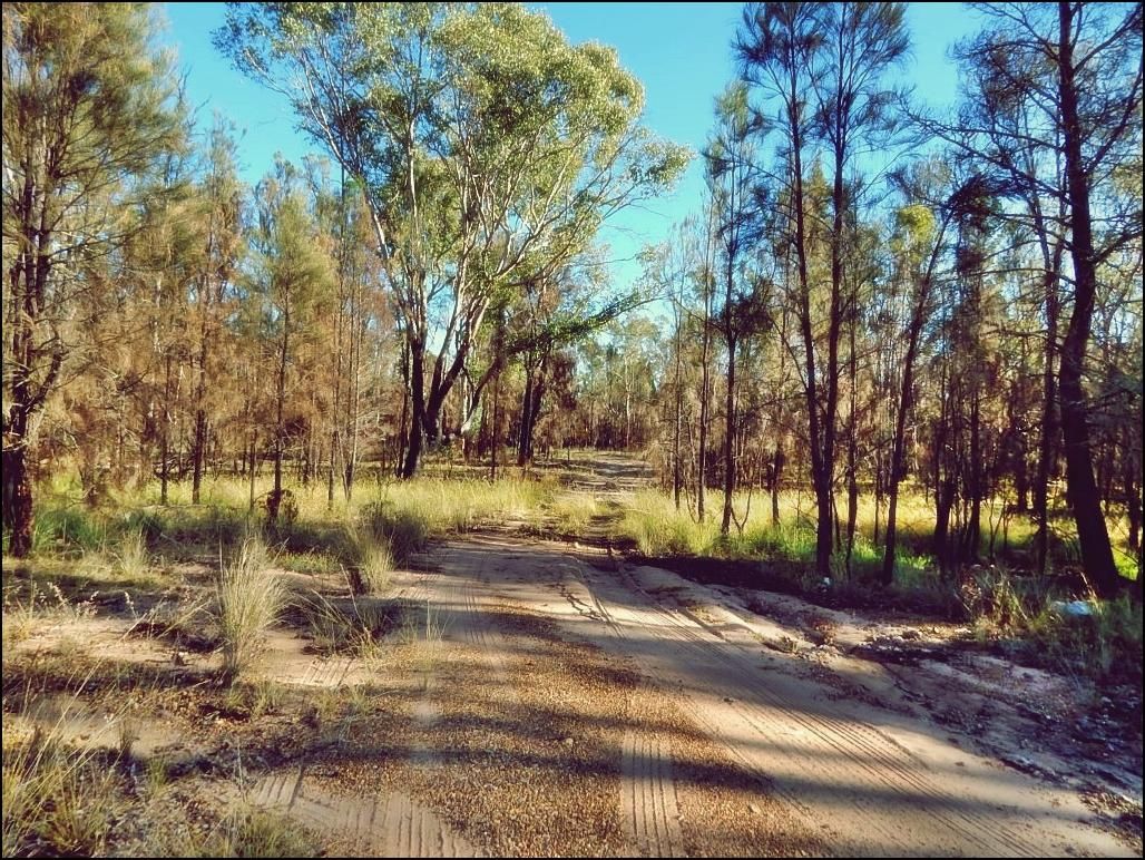 309 Waratah Drive, Millmerran Downs QLD 4357 Vacant Land for Sale