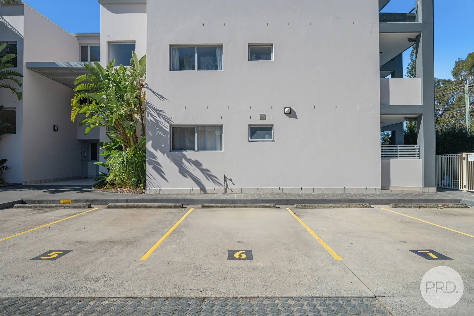 Image 15