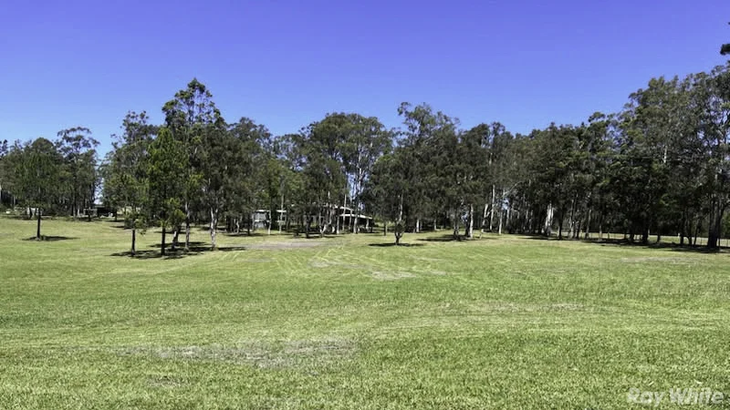 Image 11