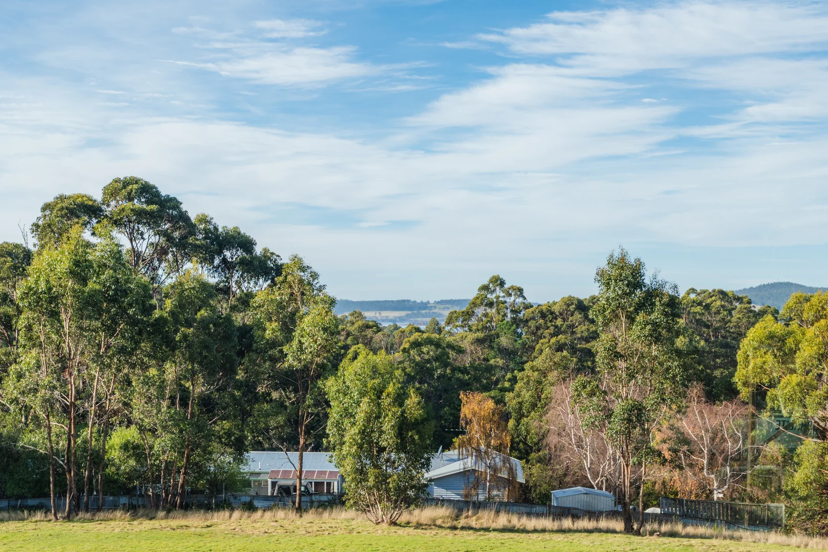 Image 17