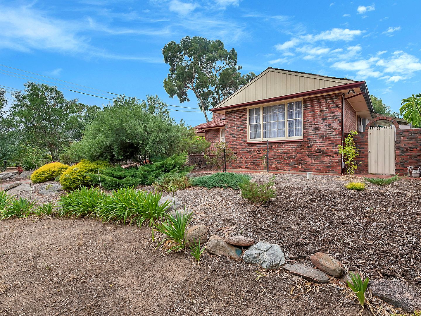 124 Haines Road, Banksia Park SA 5091, Image 1