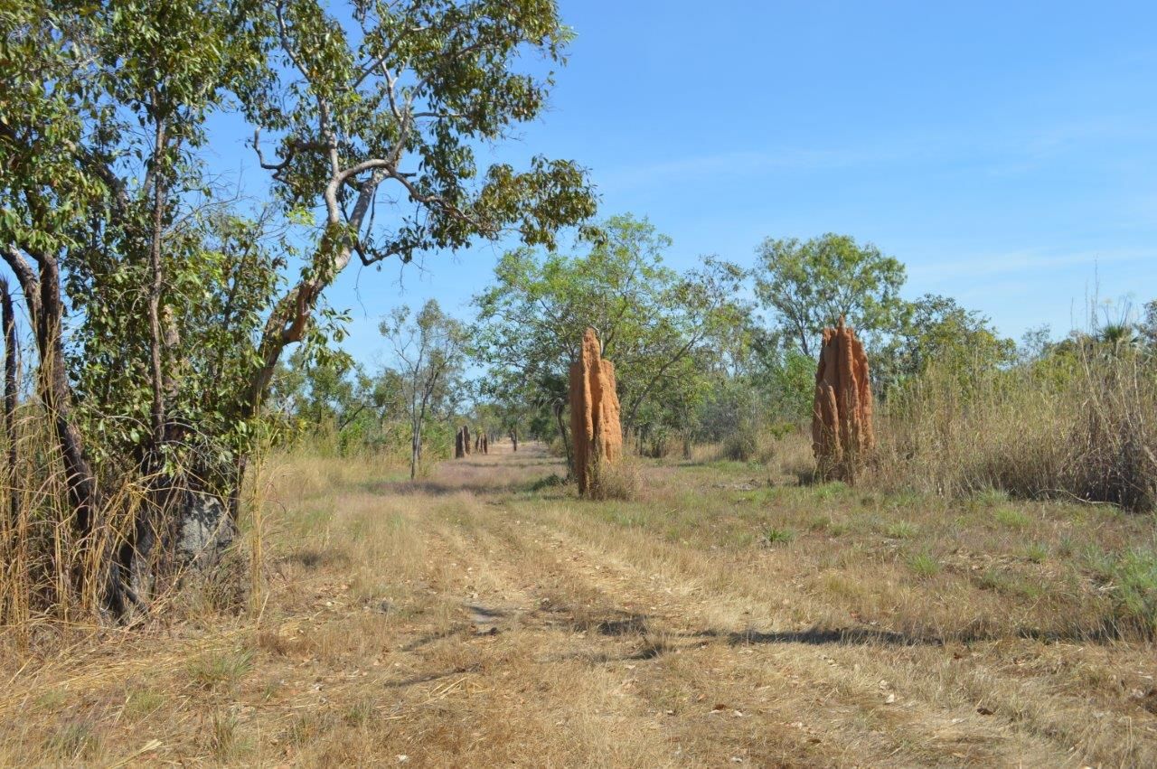 375 Darwin River Road, Darwin River NT 0841, Image 0