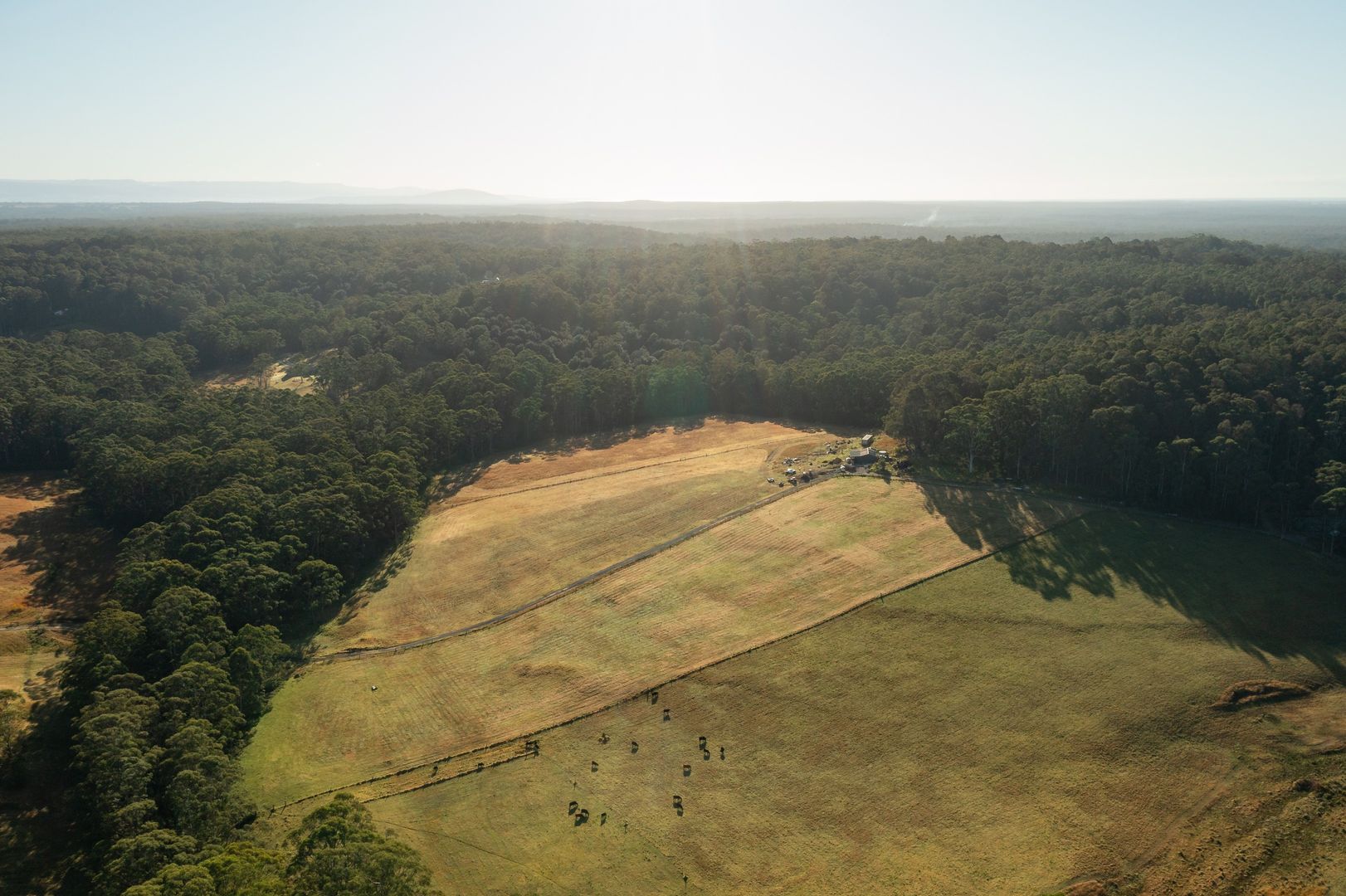 D1590A Princes Highway, Tomerong NSW 2540 House for Sale Domain