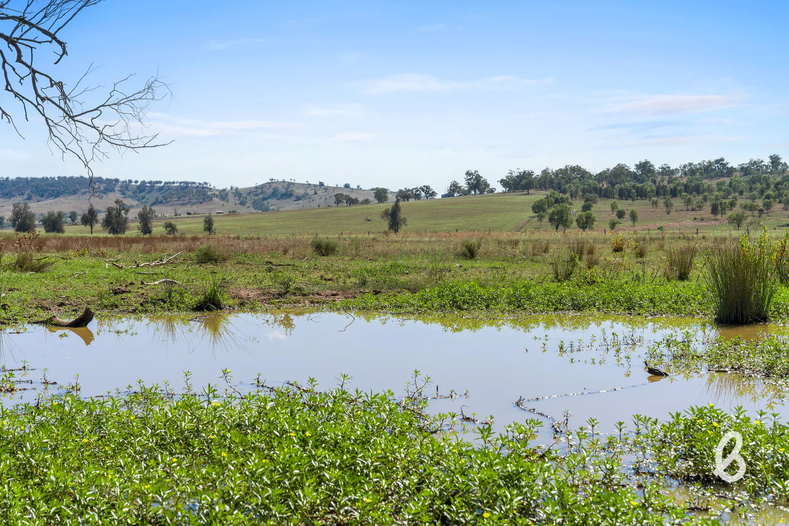 Additional image 23 of Lot 12 Redmanvale Road, Jerrys Plains NSW 2330