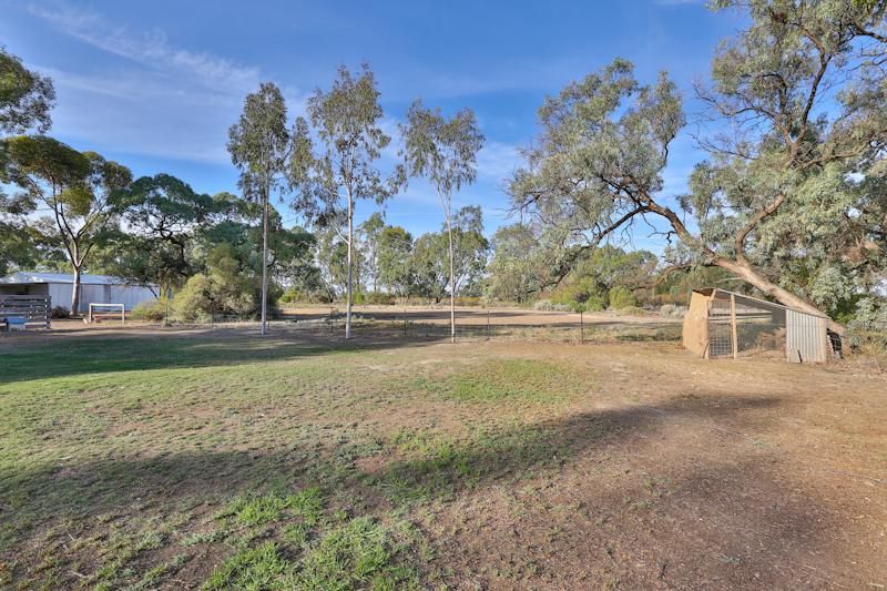 399 Delta Road, CURLWAA NSW 2648, Image 1