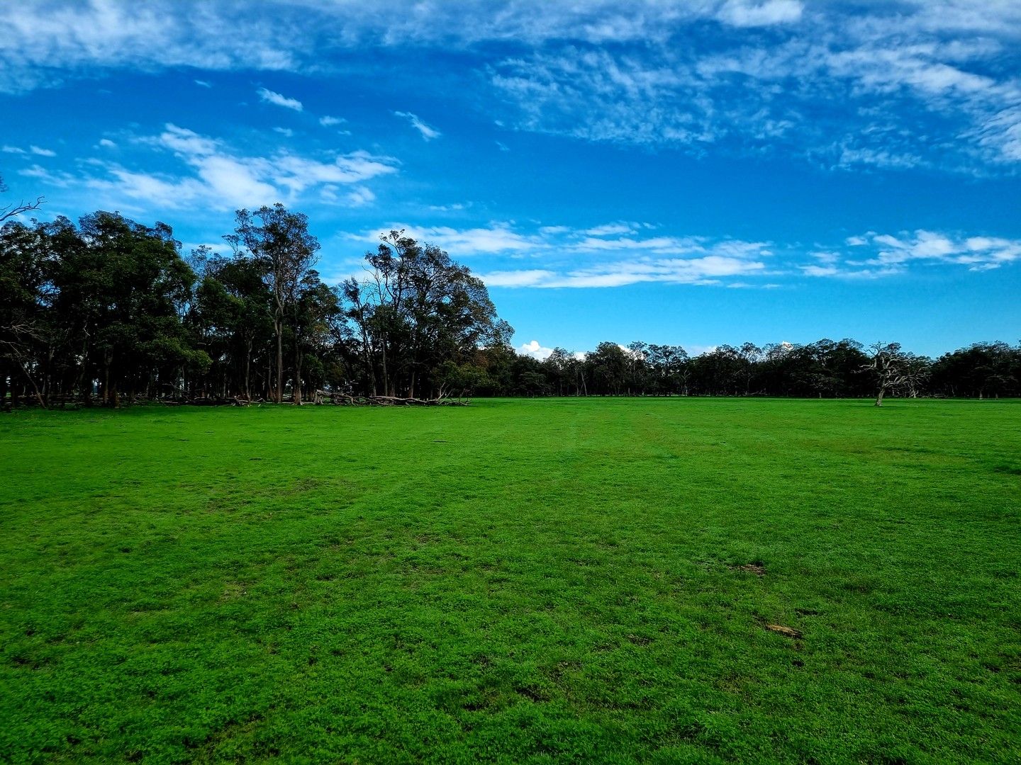 Rural in Lot 808 Mayfield Road, WAROONA WA, 6215