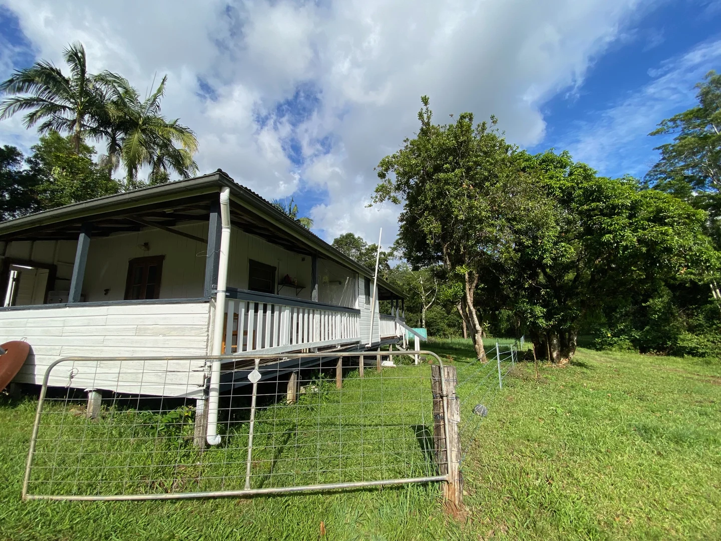 Additional image 16 of 1239 Terania Creek Road, The Channon NSW 2480