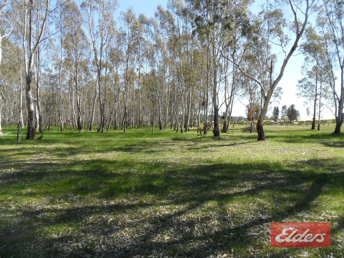 Lot 152 Pimpala Road, Sandy Creek SA 5350, Image 2