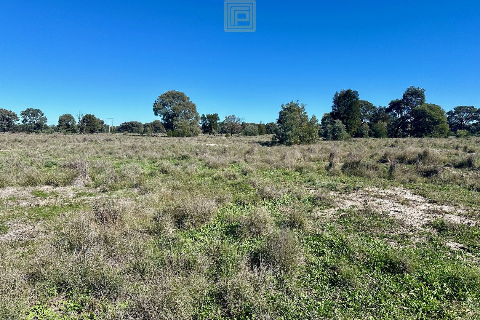 933 Nuable Road, Yarrie Lake NSW 2388, Image 0