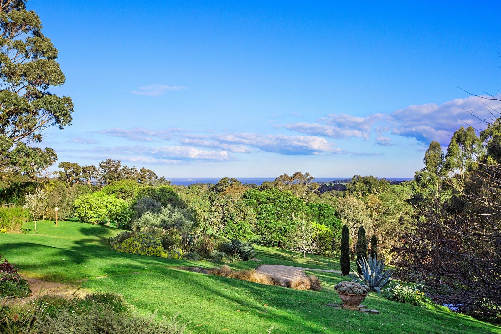 39 Ocean View Avenue, Red Hill South VIC 3937, Image 0