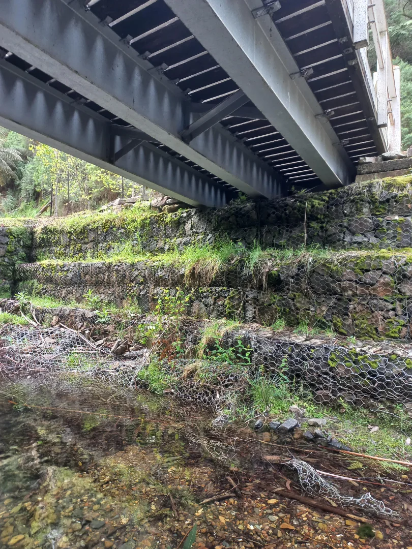 Image 10