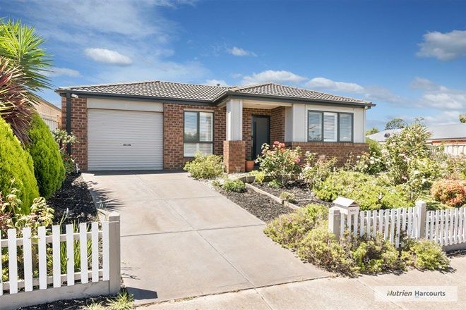 Picture of 6 Banon Street, WALLAN VIC 3756