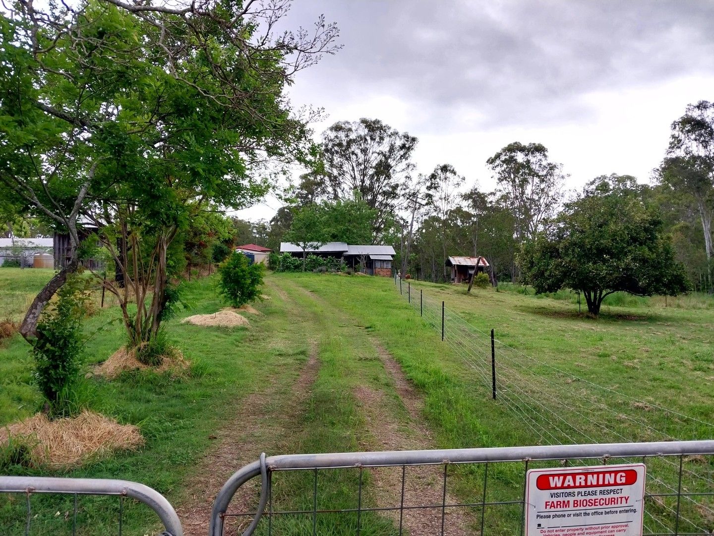 Murphys Creek QLD 4352 House for Sale Domain