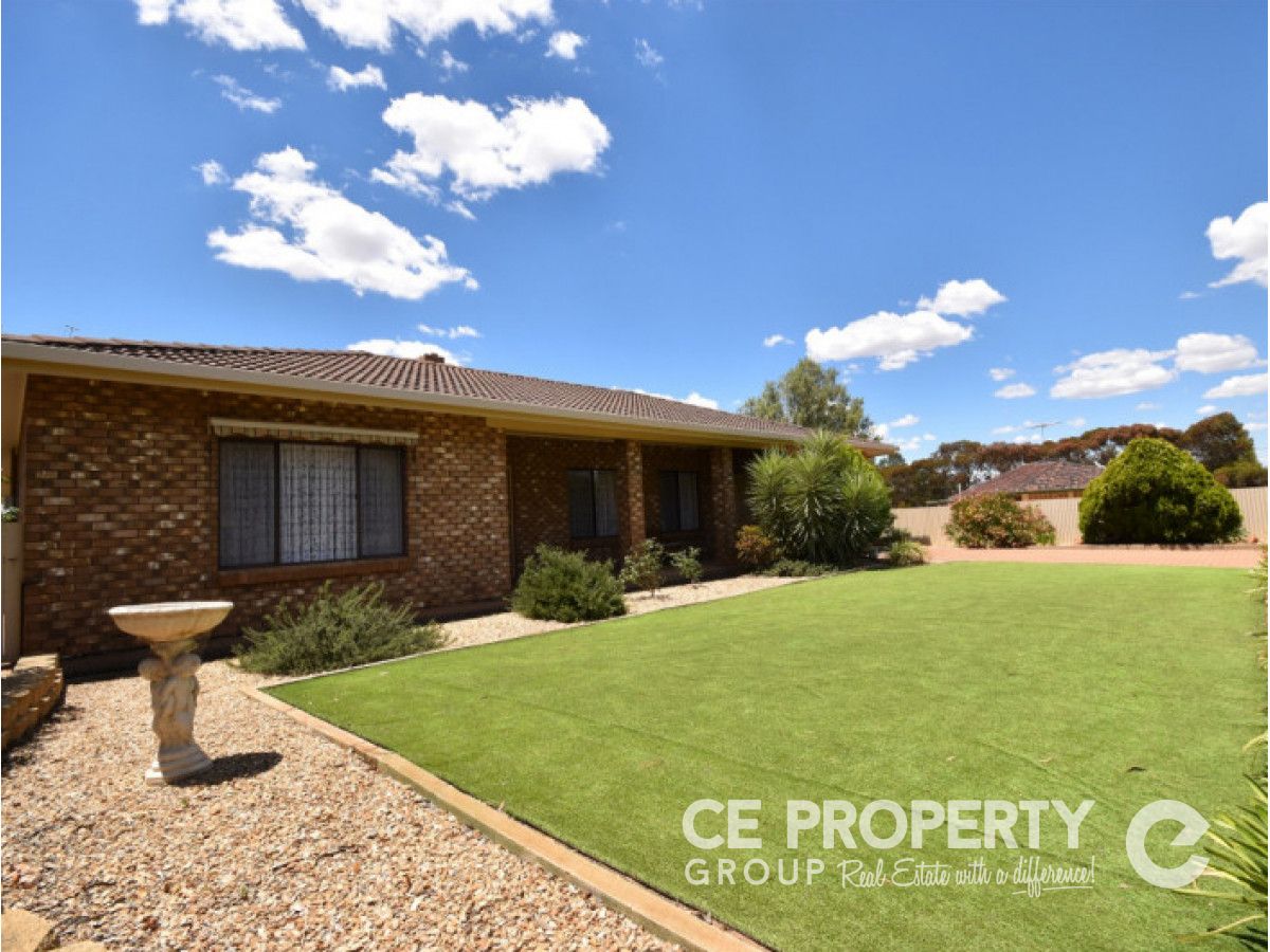 91 Adelaide Road, Mannum SA 5238, Image 0