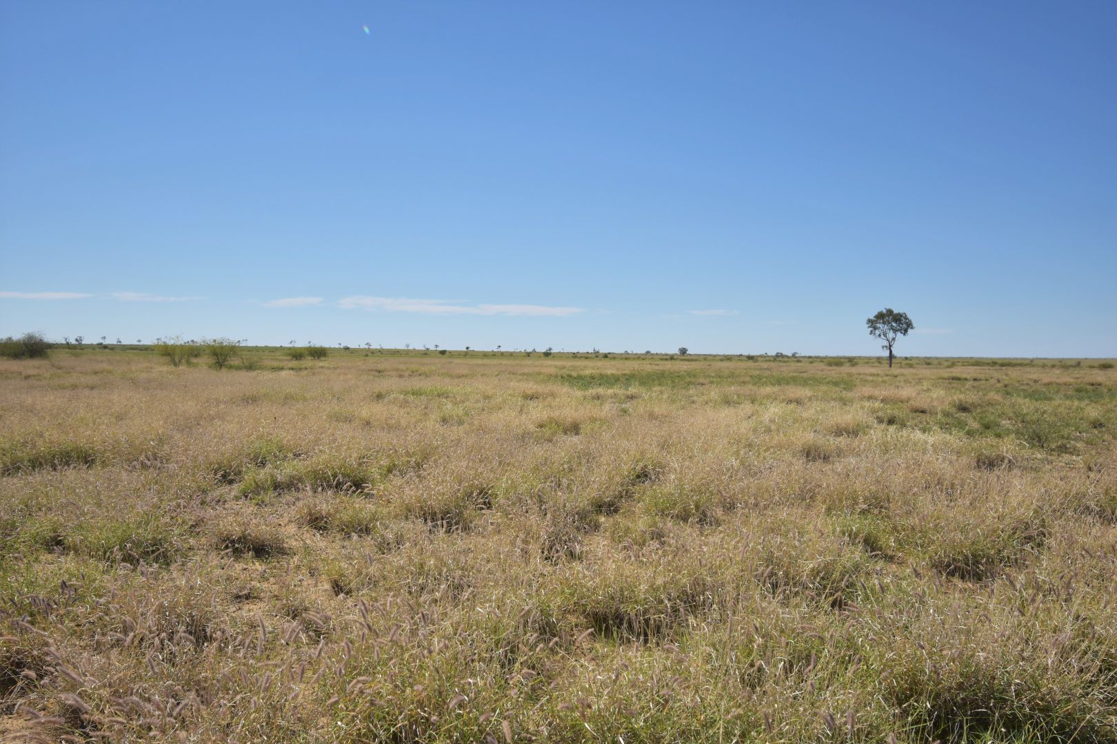 Muttaburra QLD 4732, Image 2