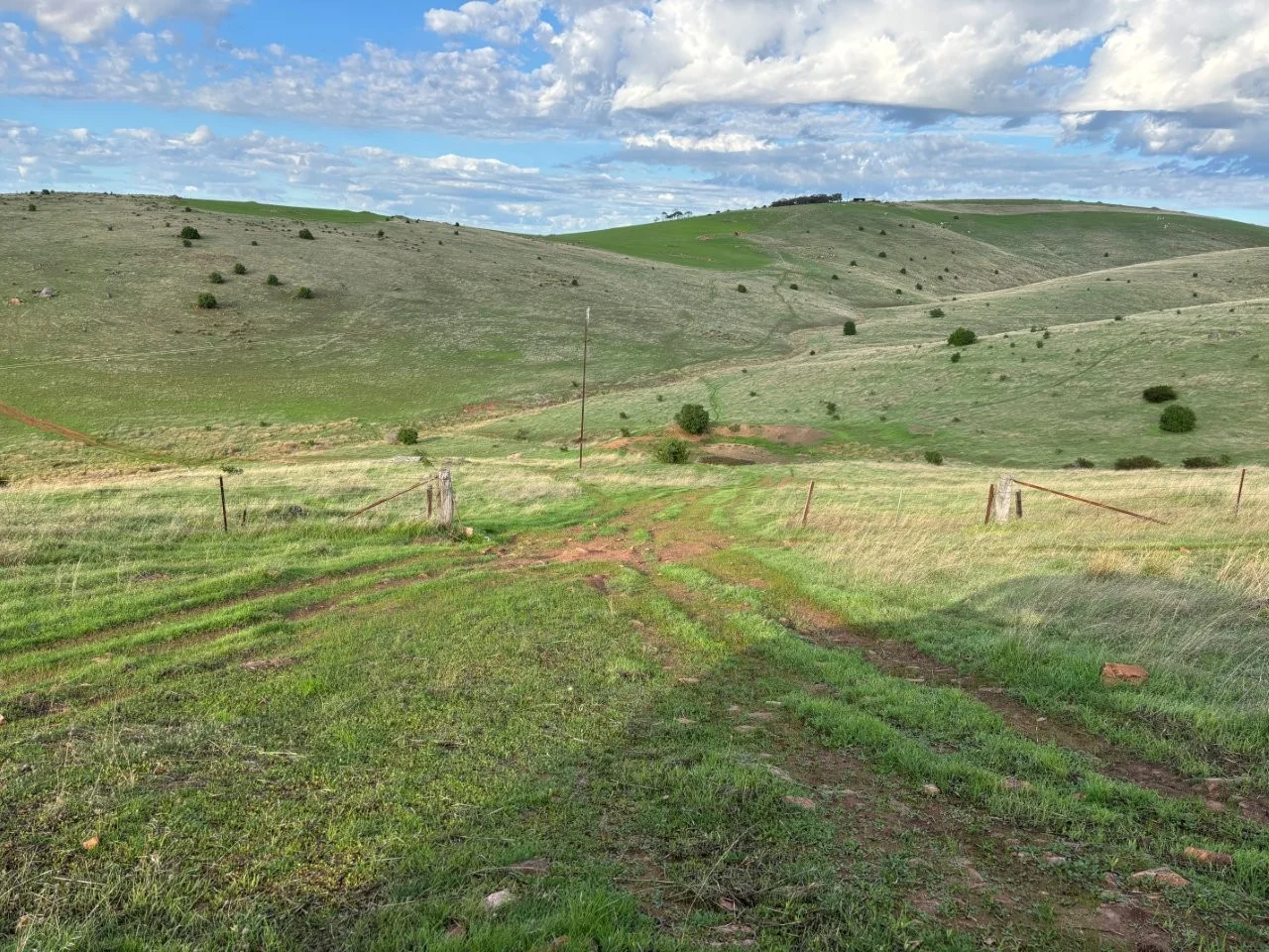 Additional image 6 of Lot 42 Harvey Well Road, Tumby Bay SA 5605