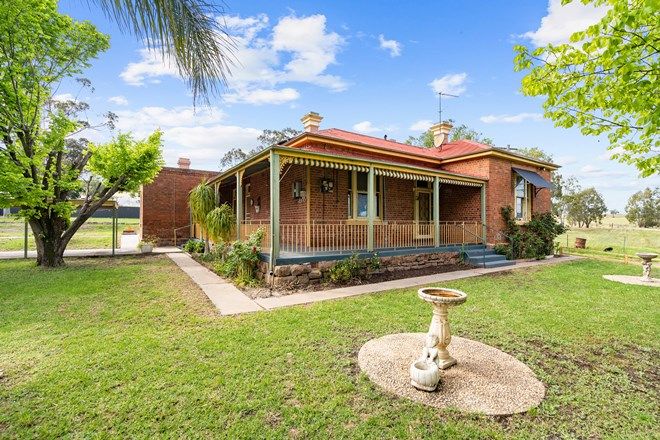 171 4 Bedroom Houses For Sale In Junee Nsw 2663 Domain