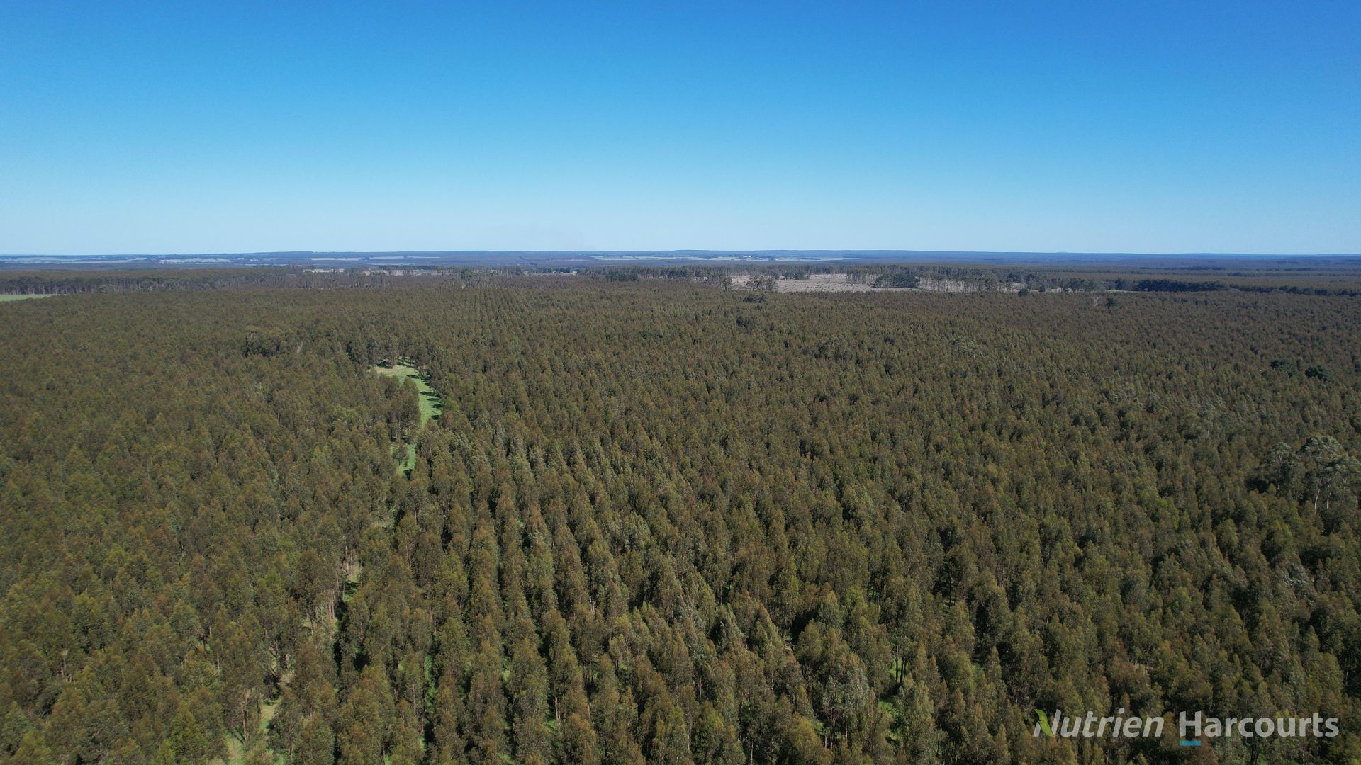 Lot 12/"Condah" DigbyBranxholme Road, Grassdale VIC 3302 House for Sale